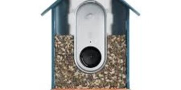 Bird Buddy Unveils Product to Expand Its App’s Accessibility